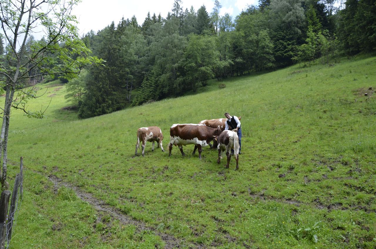 Panoramapension Lerchner Bad Kleinkirchheim Exterior photo